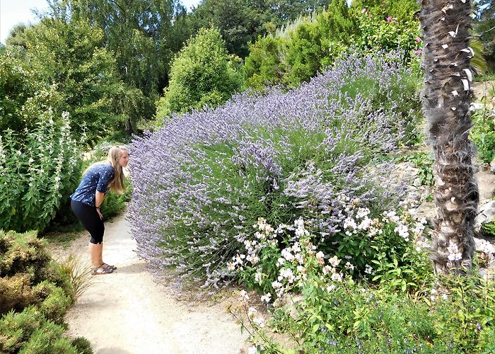 Ventnor Botanic Garden VENTNOR BOTANIC GARDEN – BRITAIN'S HOTTEST GARDEN, UK photo