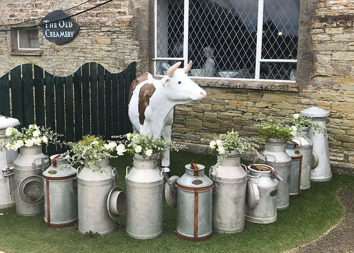 Dairyland Farm World Our Visit To Dairyland Farm World – Newquay Cornwall – St Ives By ... photo