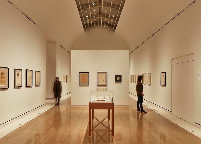 Albertina Graphic Arts Collection Klimt / Schiele: Drawings from the Albertina Museum, Vienna by ... photo