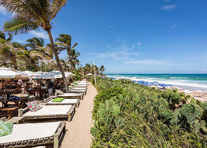 Praia do Flamengo Where to spend the summer? Choose Salvador! - Salvador - Bahia ... photo