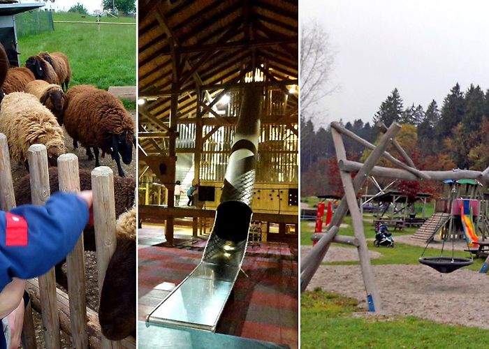 Bergtierpark Blindham Neues aus dem Bergtierpark Blindham mit SpielStadl photo