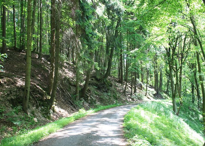 Kyffhäuser monument Visit Südharz: 2024 Travel Guide for Südharz, Saxony-Anhalt | Expedia photo