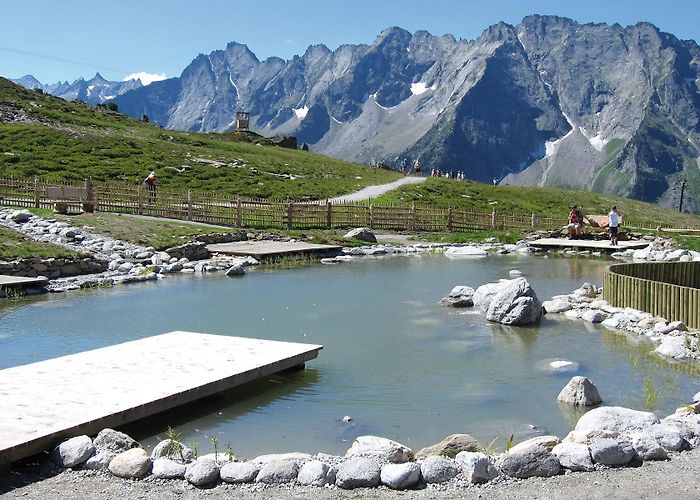 Ahorn Ahorn in Summer - Ahornhütte Mayrhofen Zillertal photo