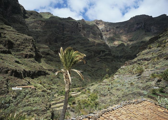 Parque Nacional de Garajonay Visita Parque Nacional de Garajonay en Islas Canarias - Tours ... photo