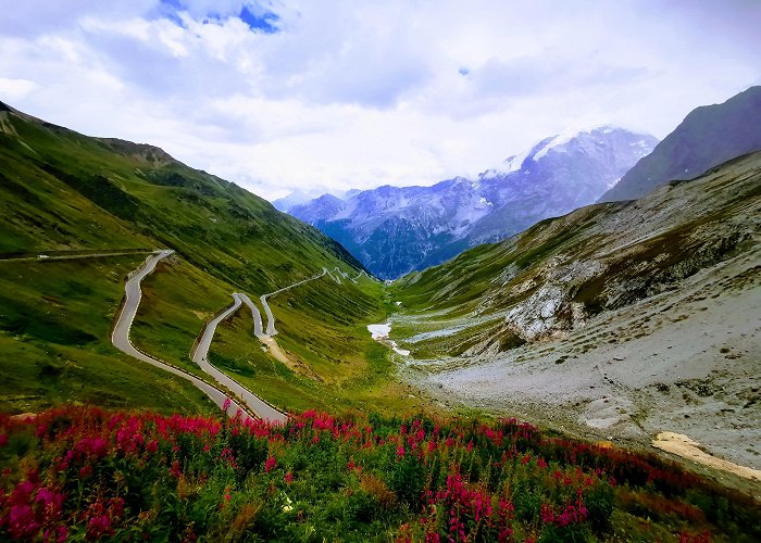 Passo dello Stelvio Visit Passo dello Stelvio: 2024 Travel Guide for Passo dello ... photo