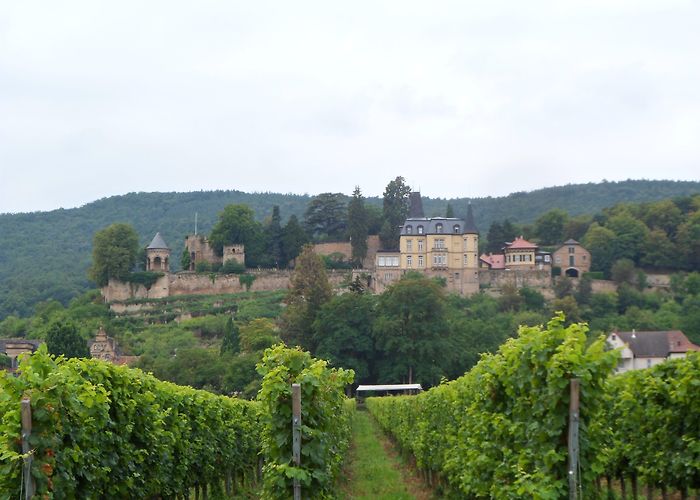 Pfalz Neustadt Visit Neustadt an der Weinstrasse: 2024 Travel Guide for Neustadt ... photo