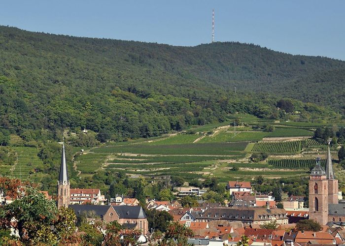 Pfalz Neustadt Neustadt an der Weinstraße - neustadt-in-europa.de photo
