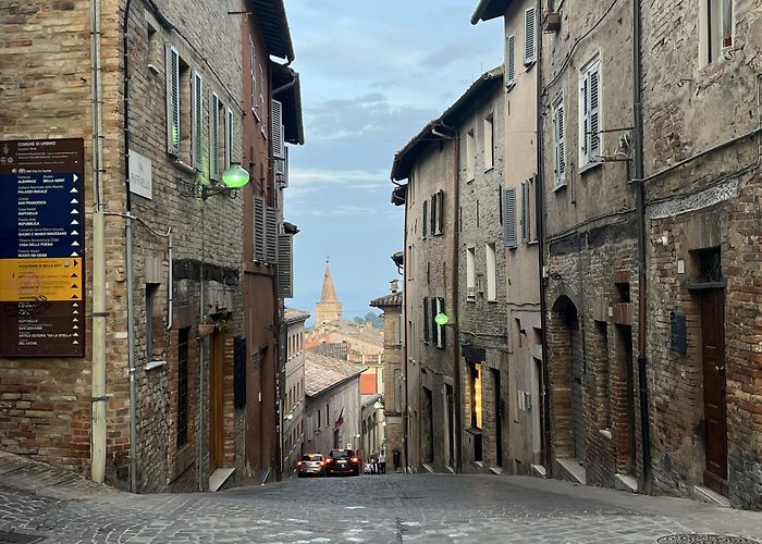 Museo Dei Gessi Study Abroad | Honors College photo