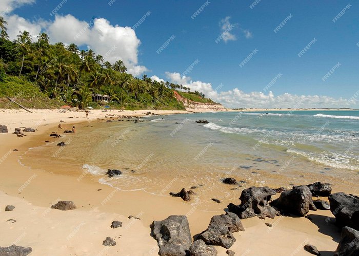 Giz Beach Premium Photo | Chalk beach tibau do sul near natal rio grande do ... photo