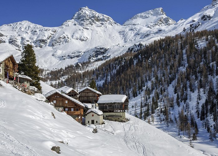 Frachey - Alpe Ciarcerio funicolar Things to Do in Champoluc in 2024 | Expedia photo