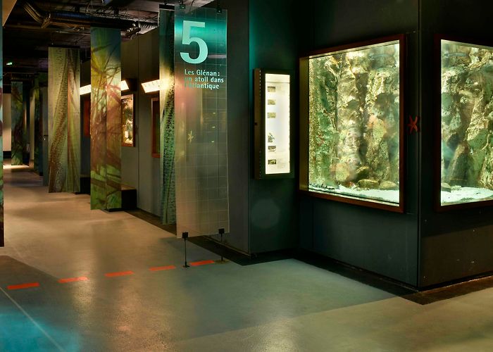 Marinarium Le Marinarium - Concarneau | Destination Pays Bigouden photo