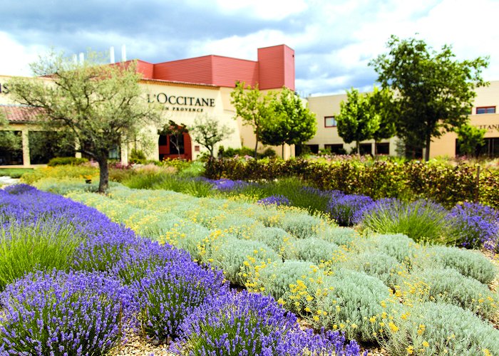 L'Occitane en Provence Production Site Guided tour of L'Occitane en Provence (Manosque) | Provence-Alpes ... photo