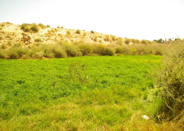 San Juan de Alicante Hospital Things to Do in San Juan de Alicante in 2024 | Expedia photo