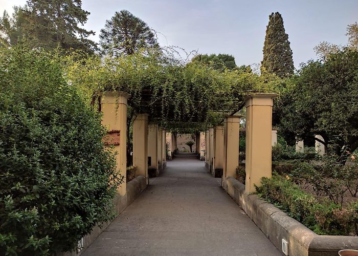 Suor Orsola Benincasa University of Naples 1st International Week at Suor Orsola Benincasa University ... photo