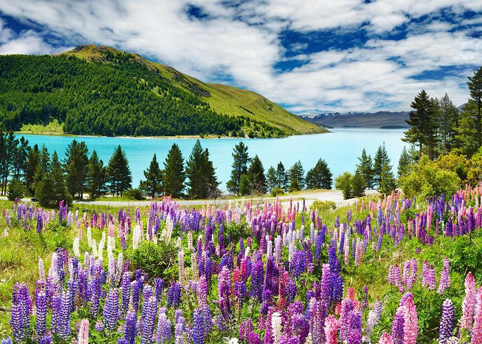 Lake Tekapo photo