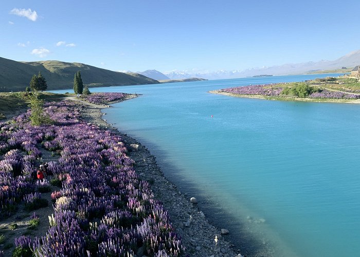 Lake Tekapo photo