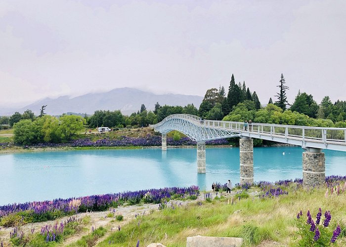 Lake Tekapo photo