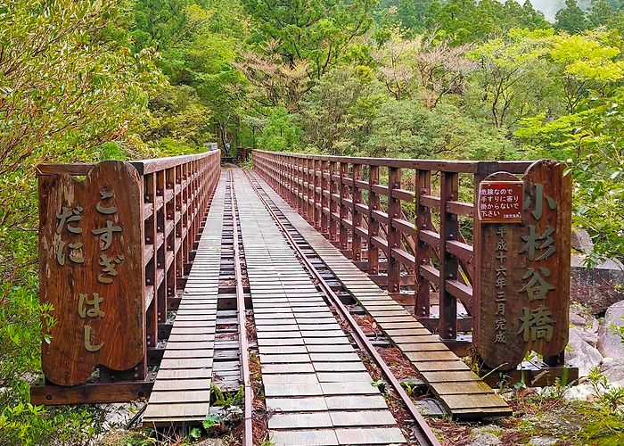 Yakushima (Kagoshima) photo