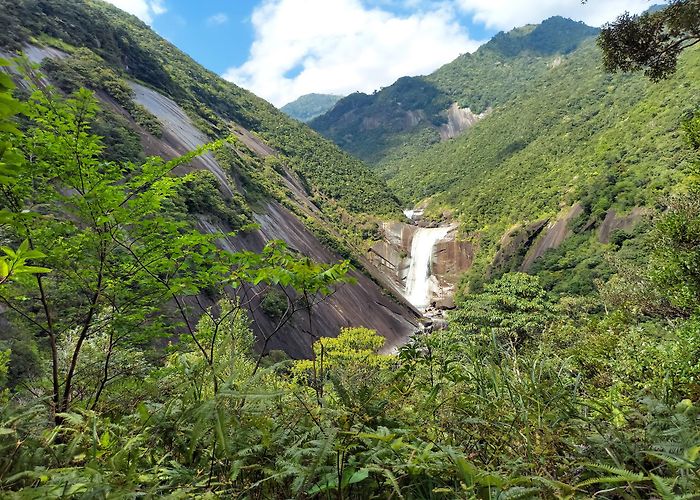Yakushima (Kagoshima) photo