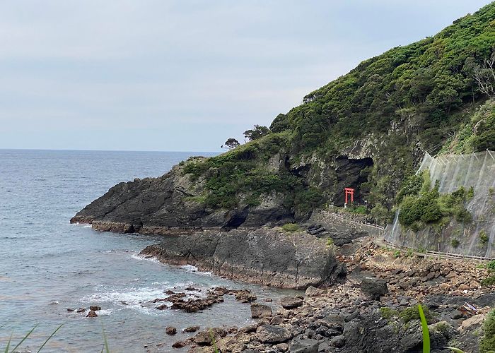 Yakushima (Kagoshima) photo
