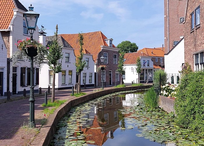 Maasland photo