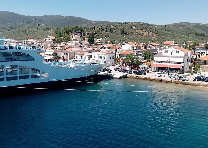 Glifa (Stylida) photo