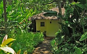 Moivaro Coffee Plantation Lodge Аруша Exterior photo