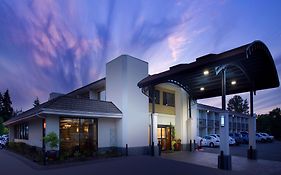 Best Western Seattle Airport Hotel Ситак Exterior photo