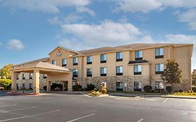 Comfort Inn & Suites Russellville I-40 Exterior photo