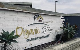 Organic Stay Guesthouse Свакопмунд Exterior photo