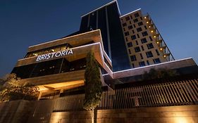 Bristoria Hotel Эрбиль Exterior photo