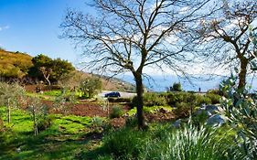 Вилла Agriturismo Fattoria Terranova Сант-Агата-суи-Дуэ-Гольфи Exterior photo