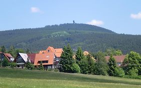 Отель Pension Haus Am Wald Браунлаге Exterior photo