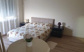 Apartments Kamenjar Нови-Сад Room photo