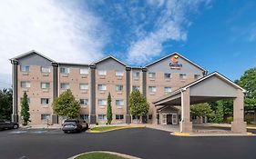 Comfort Suites Keeneland Лексингтон Exterior photo