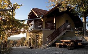 Vineyard Cottage Brodaric Метлика Exterior photo