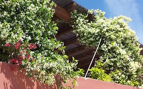 Bed and Breakfast Gato Preto De Silves - Adults Only Exterior photo