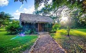 Bocawina Rainforest Resort Хопкинс Exterior photo