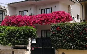 Dolce Cascais Guest House Exterior photo