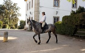 Вилла Quinta Dos Alamos Agroturismo Голеган Exterior photo