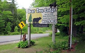 Bear Tree Lodge Вейрс-Бич Exterior photo