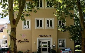Hotel Alpenrose Бад-Райхенхалль Exterior photo