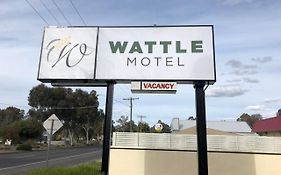 Wattle Motel Сеймур Exterior photo