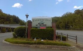 Parkway Inn Уэйнсвилл Exterior photo
