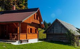 Вилла Holiday House Pokrovec - Бохинь Exterior photo