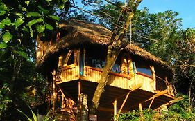 Vanira Lodge Теахупоо Exterior photo