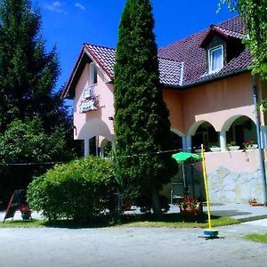 Bed and Breakfast Flamingo Etterem Szallashely Somlojeno Exterior photo