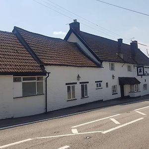 The Dog Inn Бристоль Exterior photo