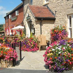 The Walnut Tree Inn Mere Мир Exterior photo