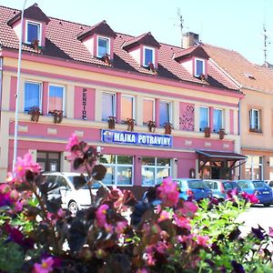 Отель Pension Bernartice Exterior photo